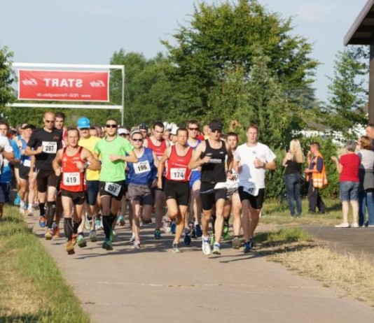 Läuferinnen und Läufer beim Gäulauf 2014 (Archivfoto) (Foto: Holger Knecht)