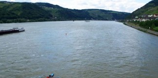 Ein Ruderboot bei "All You Can Row 2016" auf dem Rhein (Foto: Steffen Voigt)