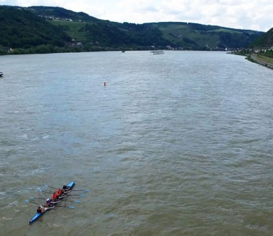 Ein Ruderboot bei "All You Can Row 2016" auf dem Rhein (Foto: Steffen Voigt)