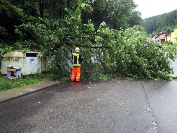 Ein Baum war umgestürzt (Foto: Feuerwehr Presseteam der VG Lambrecht)