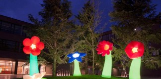 Beleuchtete Blumen (Foto: Stadtverwaltung Mosbach)