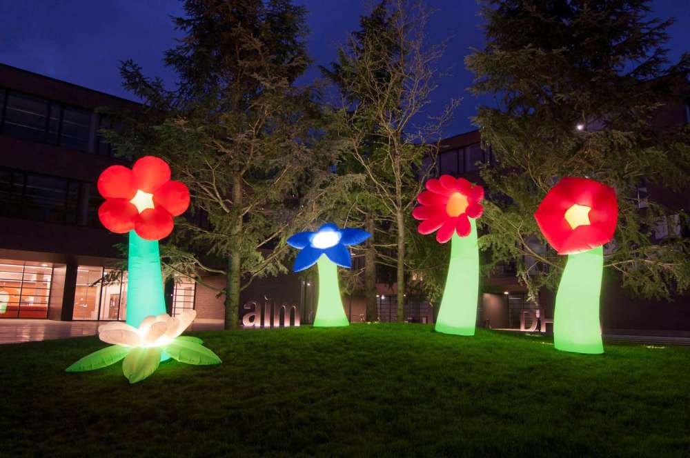 Beleuchtete Blumen (Foto: Stadtverwaltung Mosbach)