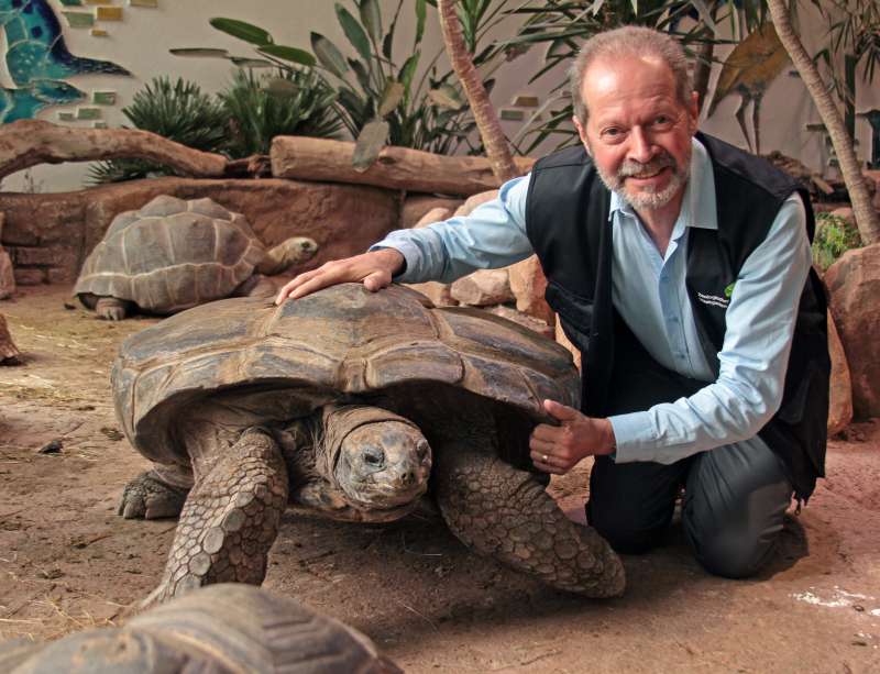 Ziemlich beste Freunde sind Zoo-Vize Dr. Clemens Becker und Riesenschildkröte Flunder. (Foto: Stadt Karlsruhe)