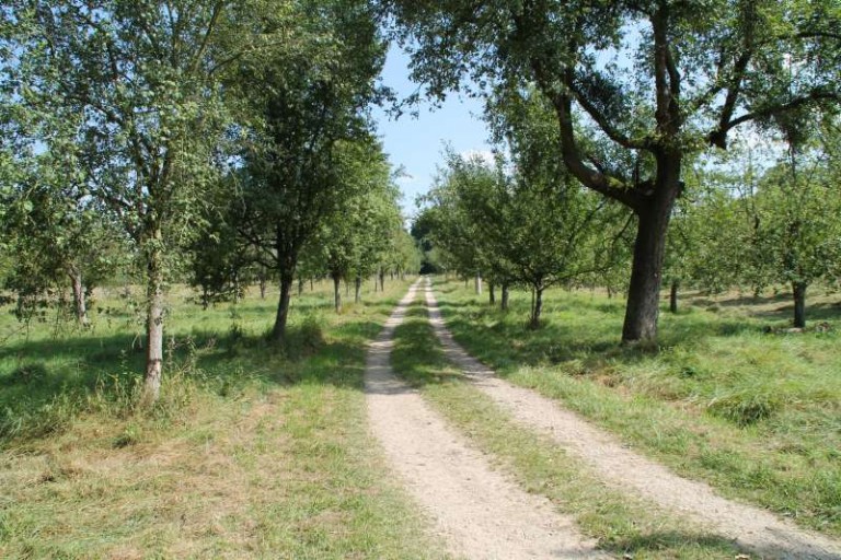 Mannheim Naturschutzgebiet Reißinsel wieder offen Metropolnews.info