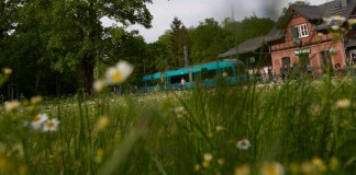 Straßenbahnhaltestelle Neu-Isenburg (Foto: Stadt Frankfurt am Main)