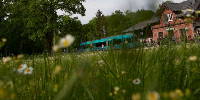 Straßenbahnhaltestelle Neu-Isenburg (Foto: Stadt Frankfurt am Main)