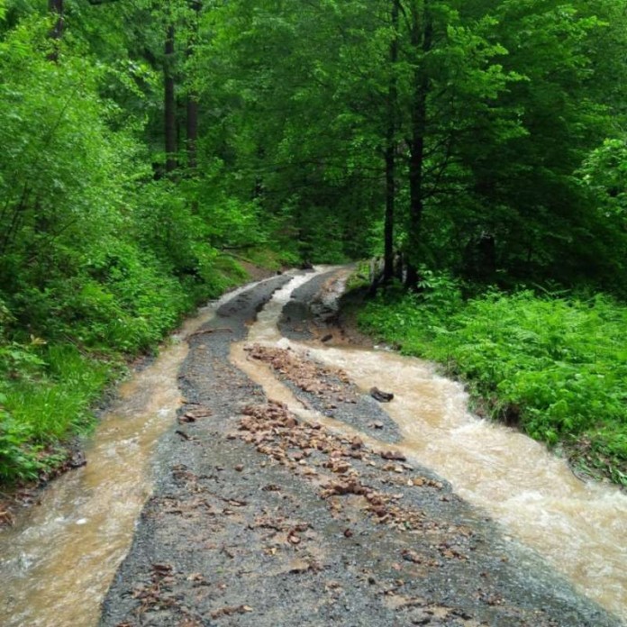 Der Starkregen hat teils beeindruckende Schäden an einigen Waldwegen hinterlassen, die die Stadt ab 20. Juni 2016 saniert: Im „Verbindungsweg“ im Handschuhsheimer Wald beispielsweise sind richtige Sturzbäche entstanden. (Foto: Stadt Heidelberg)