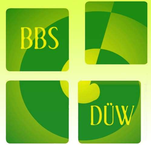 Logo BBS DÜW (Foto: BBS DÜW)