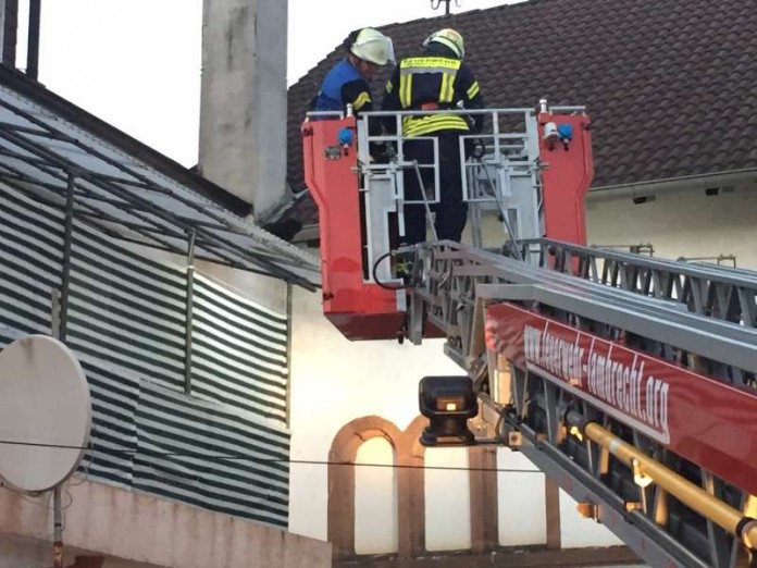 Eine Katze wurde von einem Dach gerettet (Foto: Feuerwehr Presseteam der VG Lambrecht)