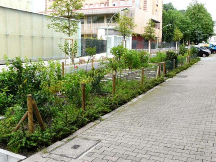 Urban Gardening-Projekt Lortzinggarten der AG 'Nachbarschaftsgärtnern' (Foto: Verkehrsdezernat Stadt Frankfurt am Main)