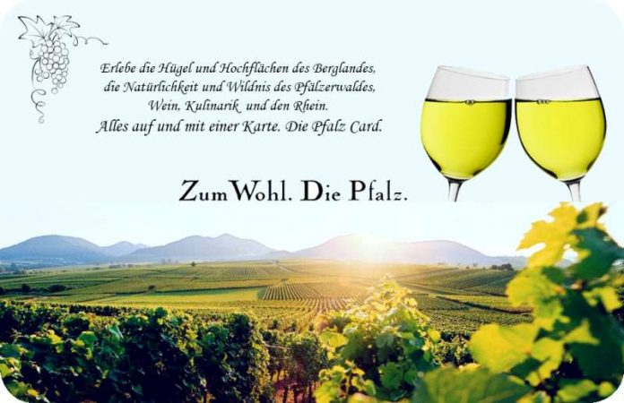 Pfalzcard_Dummie-Bild Symbolbild