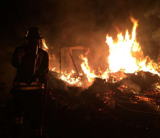 In Seckbach brannte eine Gartenhütte (Foto: Feuerwehr Frankfurt am Main)