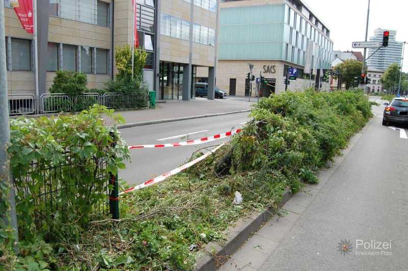 Der beschädigte Zaun der Fahrbahnabtrennung