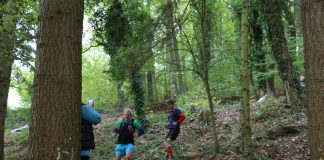 Der 3. Pfälzer Weinsteig 100 Meilen Ultratrail am 15. Oktober führt durch die Süd- und die Vorderpfalz (Foto: Gabi Gründling)