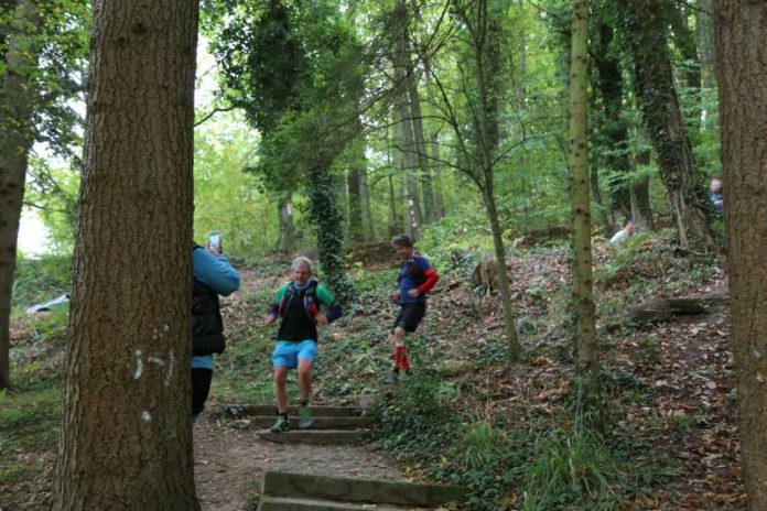 Der 3. Pfälzer Weinsteig 100 Meilen Ultratrail am 15. Oktober führt durch die Süd- und die Vorderpfalz (Foto: Gabi Gründling)