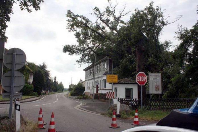 Ein größerer Baum stürzte auf das Alte Zollhaus am Windhof (Foto: Polizei)