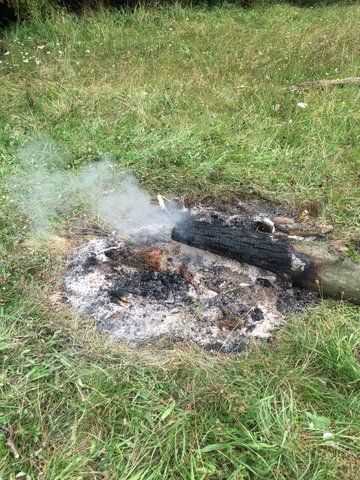 Kann teuer enden: Ein wildes Lagerfeuer