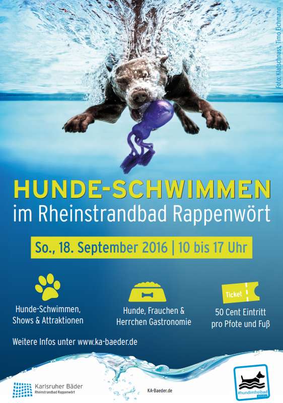 Veranstaltungsplakat zum Hundeschwimmen am 18. September 2016 (Quelle: Karlsruher Bäder)