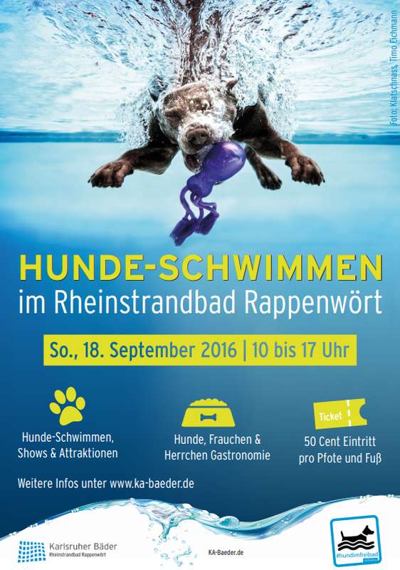 Veranstaltungsplakat zum Hundeschwimmen am 18. September 2016 Veranstaltungsplakat zum Hundeschwimmen am 18. September 2016 (Quelle: Karlsruher Bäder)
