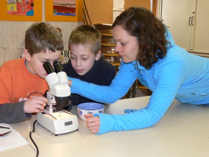 Mikroskopieren (Foto: Zooschule Landau)
