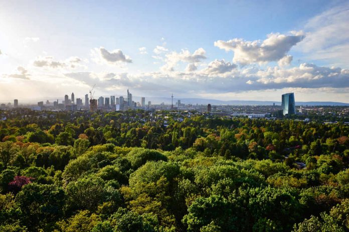 Frankfurt wagt Wildnis Bundesprogramm Biologische Vielfalt startet Projekt in drei Städten Stadtwald mit Skyline (Foto: Stefan Cop)
