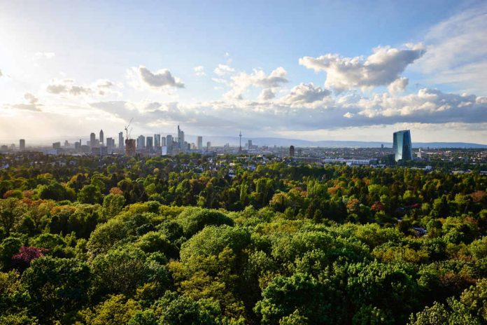 Stadtwald mit Skyline (Foto: Stefan Cop)