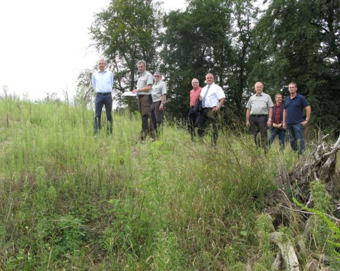 v.l: Landrat Dr. Christoph Schnaudigel, Revierleiter Christian Hautz, Forstbezirksleiter Dr. Thomas Eichkorn, Dezernent Prof. Dr. Jörg Menzel, Bürgermeister Stefan Martus, Amtsleiter Dr. Bernhard Peichl, Roland Russ (Landratsamt) und Gemeinderat und Waldmeister Werner Back auf einer der Sanddünen im Philippsburger Wald. (Foto: Landratsamt Karlsruhe)