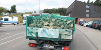 Ein Holztransport mit Folgen