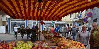 Foto: Stadtverwaltung Sinsheim