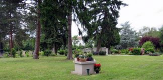 Baumurnengräber Hauptfriedhof: Der Hauptfriedhof verfügt nun über Baumurnengräber und Urnenstelen, zu denen es eine zentrale Ablagefläche für Blumen gibt. (Foto: Stadtverwaltung Neustadt)