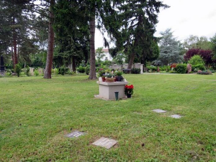 Baumurnengräber Hauptfriedhof: Der Hauptfriedhof verfügt nun über Baumurnengräber und Urnenstelen, zu denen es eine zentrale Ablagefläche für Blumen gibt. (Foto: Stadtverwaltung Neustadt)