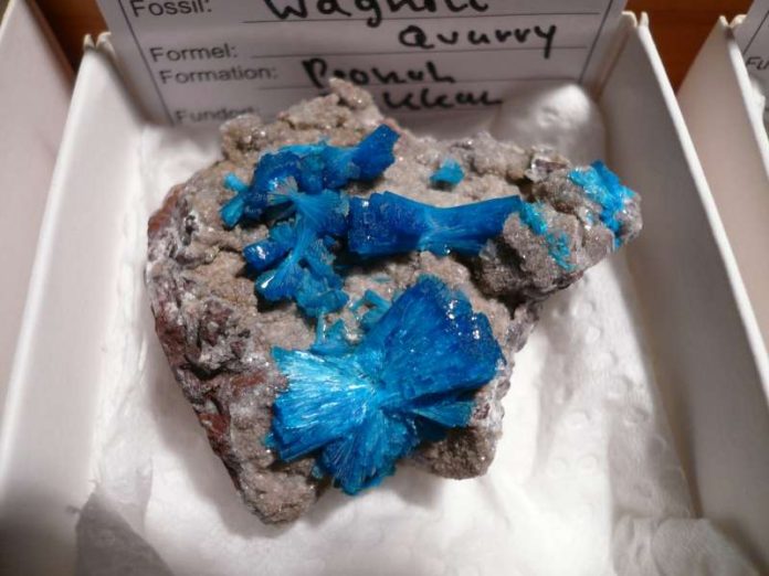 Mineralienbörse Viele Mineralien sind zu sehen (Foto: Donnersberg-Touristik-Verband)
