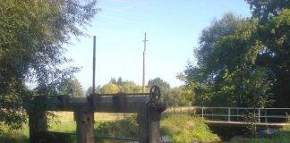 In der Nähe des Heidehofs wird ein alter Bachlauf renaturiert. (Foto: Stadtverwaltung Neustadt an der Weinstraße)