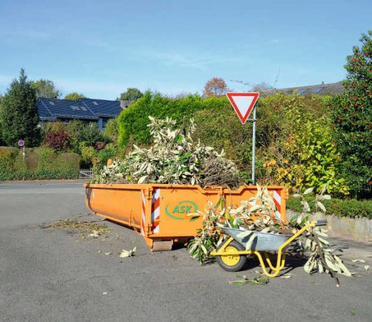 gruenschnittcontainer