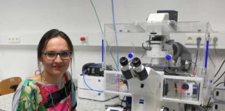 Prof. Dr. Tanja Brigadski am Cell Observer, mit dem lebende Organismen und intrazelluläre Prozesse beobachtet werden können (Foto: HS KL)