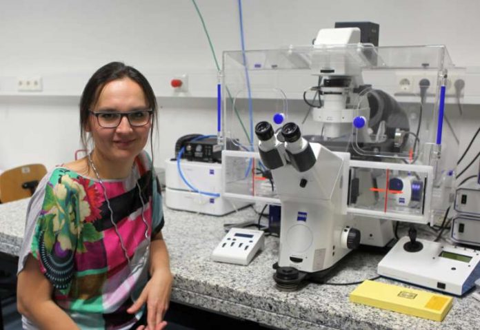 Prof. Dr. Tanja Brigadski am Cell Observer, mit dem lebende Organismen und intrazelluläre Prozesse beobachtet werden können (Foto: HS KL)