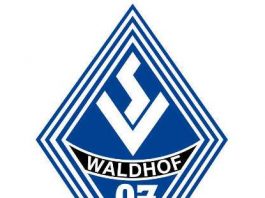 Logo (Foto: SV Waldhof Mannheim 07 e.V.)