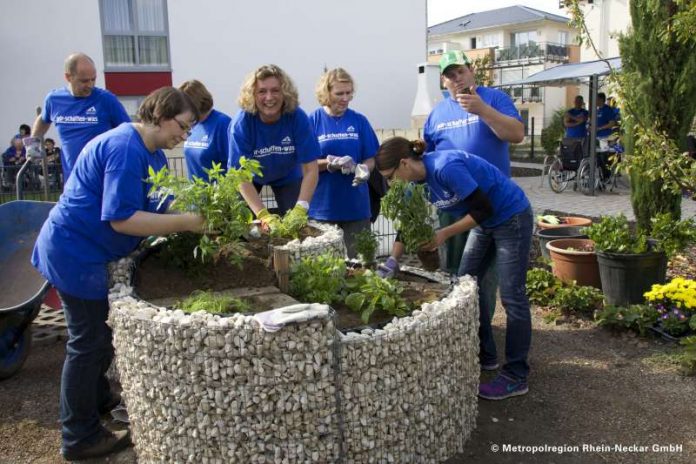 Projekt vom vergangenen Freiwilligentag in der Metropolregion Rhein-Neckar (Foto: Metropolregion Rhein-Neckar GmbH