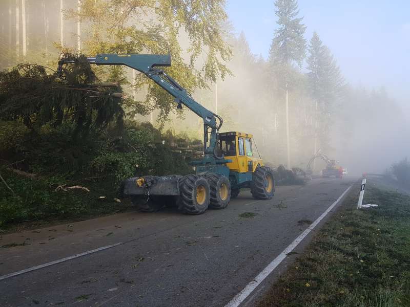 Einsatz der Forstspezialrückeschlepper (Foto: Dieter Sauerzapf und Sascha Backfisch)