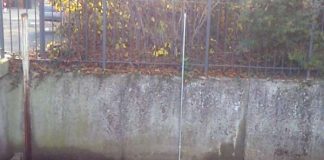 Im Wasser treibender Müll (Foto: Stadtverwaltung Neustadt)