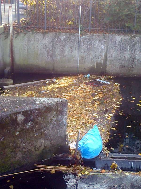 Im Wasser treibender Müll (Foto: Stadtverwaltung Neustadt)