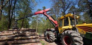 Ohne Rückemaschine läuft nichts: Mit ihr werden Stämme aus dem Wald zum Polter an den Weg gebracht. (Foto: Landratsamt Rhein-Neckar-Kreis)