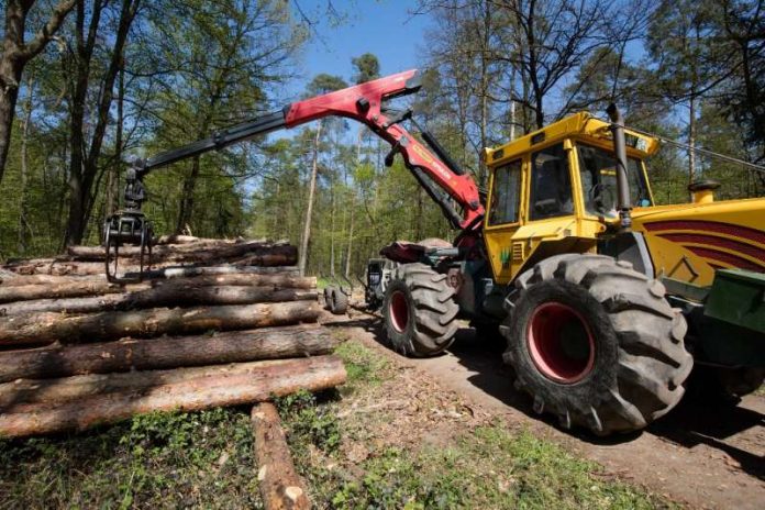 Ohne Rückemaschine läuft nichts: Mit ihr werden Stämme aus dem Wald zum Polter an den Weg gebracht. (Foto: Landratsamt Rhein-Neckar-Kreis)