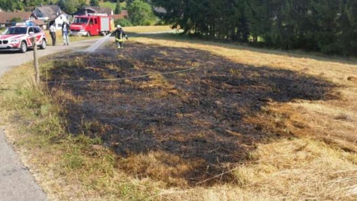 Flächenbrand, Mehlbach Weiherstraße (Foto: Feuerwehr VG Otterbach-Otterberg)