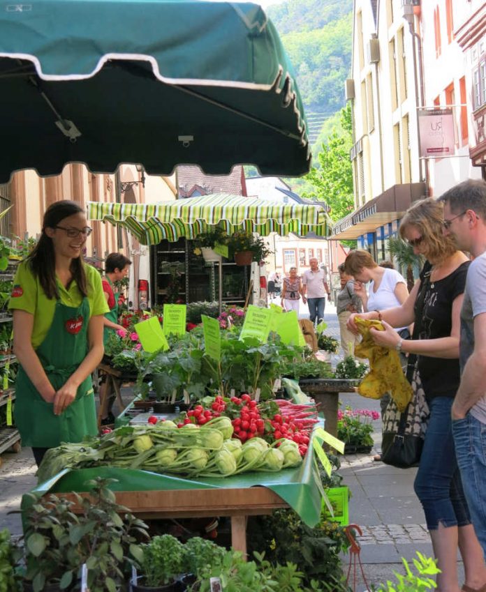 bauernmarkt-neustadt_kl