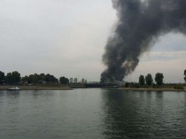 Brand auf dem BASF-Gelände im Landeshafen (Foto: Metropolnews)