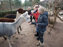 Durch die Arbeit bei den Tieren lernen die Kinder und Jugendlichen Spannendes über Tiere und Natur – und zwar ganz intensiv (Foto: Ralph Fülop)