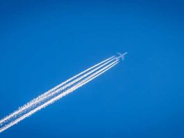 Symbolbild (Foto: Pixabay)