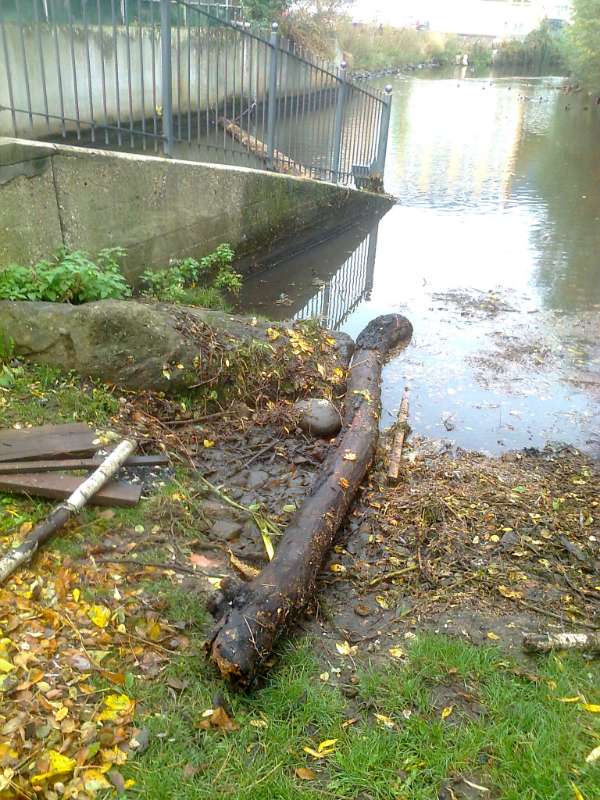 Die Regenfälle haben viel Treibgut angeschwemmt. Die Regenfälle haben viel Treibgut angeschwemmt. (Foto: Stadtverwaltung Neustadt an der Weinstraße