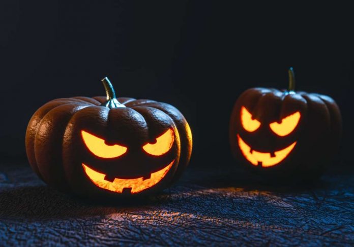 Halloween-Kürbisse Symbolbild Halloween-Kürbisse